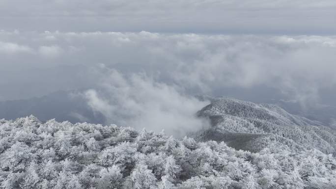 航拍雾凇满山雾凇 大雪封山