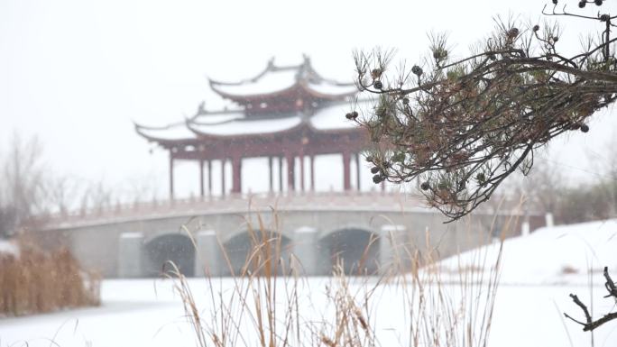 冬天大雪缓缓飘落