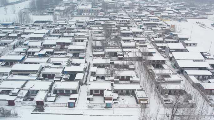 雪景航拍 平原雪景 雪屋 山东农村