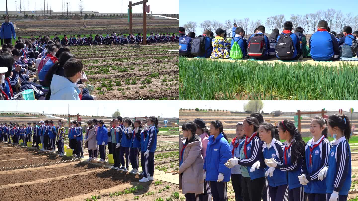 小学生学习农业知识