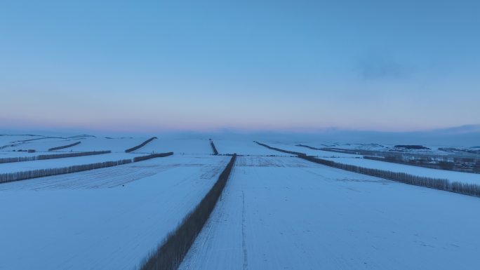 呼伦贝尔冬天自然风光雪域垦区雪原雪景