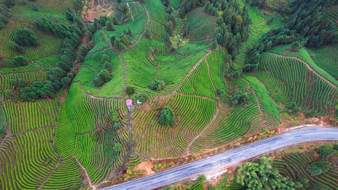 湖南郴州桂东茶园茶山三农冬季自然风光航拍