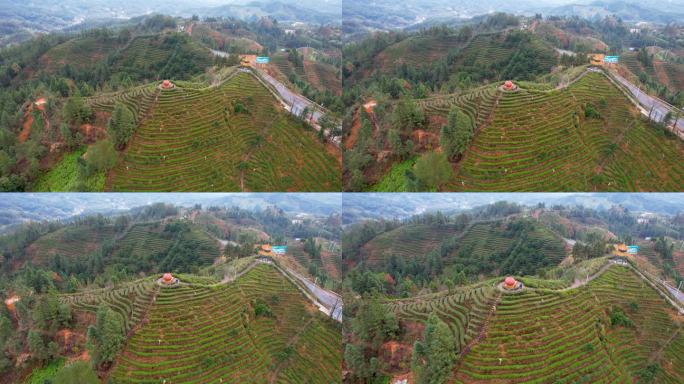 湖南郴州桂东茶园茶山三农冬季自然风光航拍