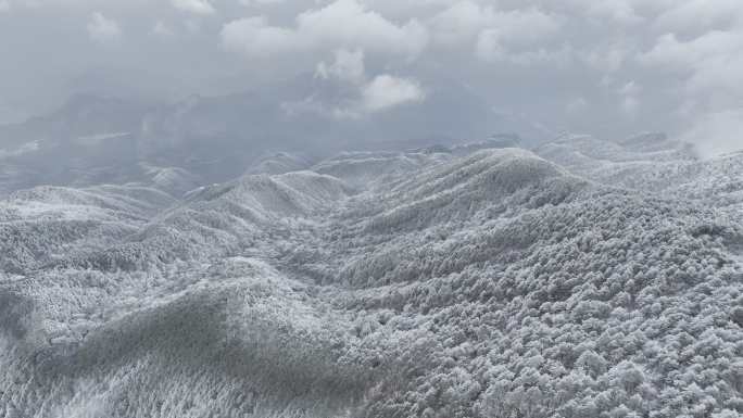 航拍雾凇满山雾凇 大雪封山