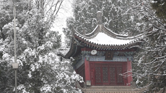 护国兴教寺 唐三藏寺院 唐僧寺院 雪景