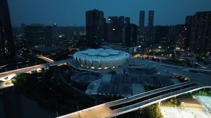 杭州航拍夜景杭州奥体中心