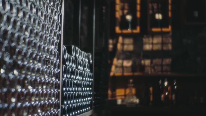 SLO MO复古之旅:电影之旅通过一个辐射酒窖品酒天堂，酒厂，葡萄酒，酒窖