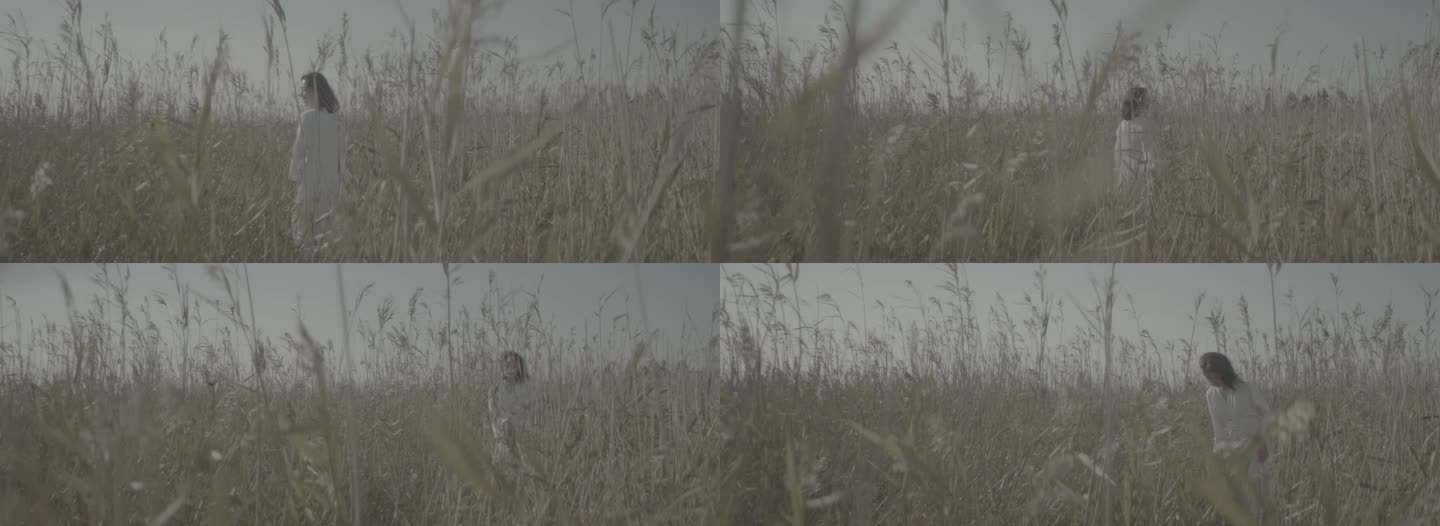 【1080p】美女在芦苇地原野漫步慢动作