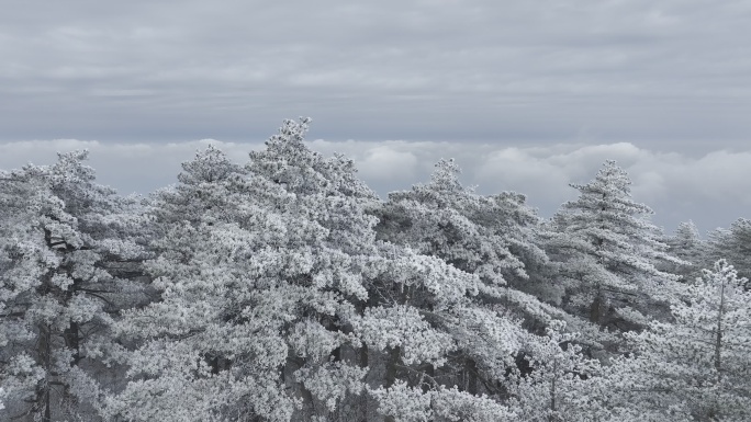 航拍雾凇满山雾凇 大雪封山