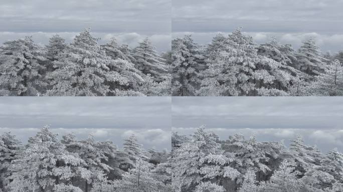 航拍雾凇满山雾凇 大雪封山