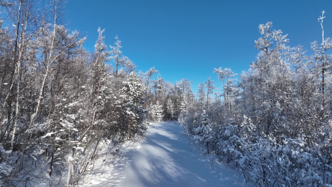 林海雪原雪林和山路