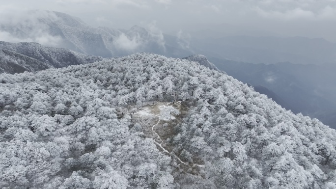 航拍雾凇满山雾凇大雪封山唯美雪景雪山云海