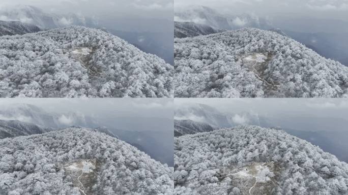 航拍雾凇满山雾凇大雪封山唯美雪景雪山云海