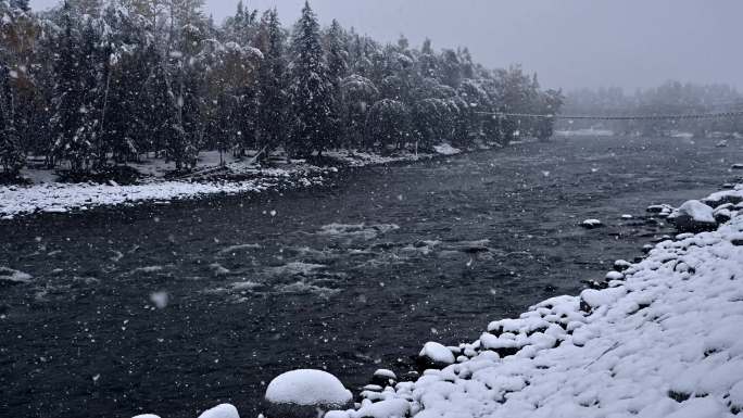 禾木河 下雪天 新疆冬天
