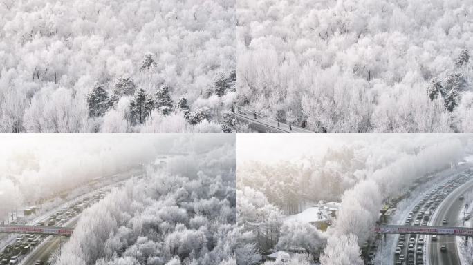 东北清晨雾凇树挂雪花街道航拍60P