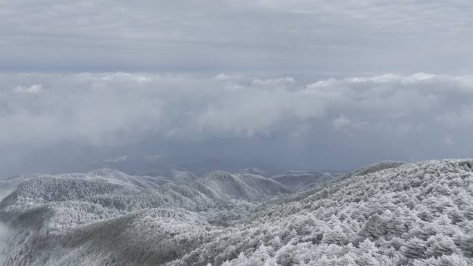 航拍雾凇满山雾凇 大雪封山