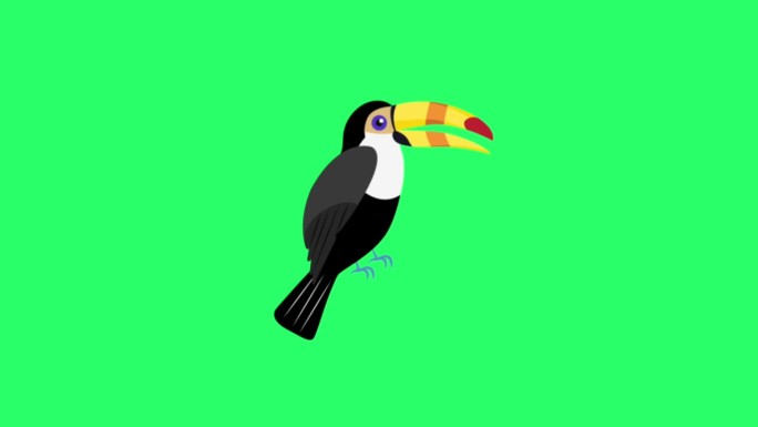 动画黑色啄木鸟在绿色背景。