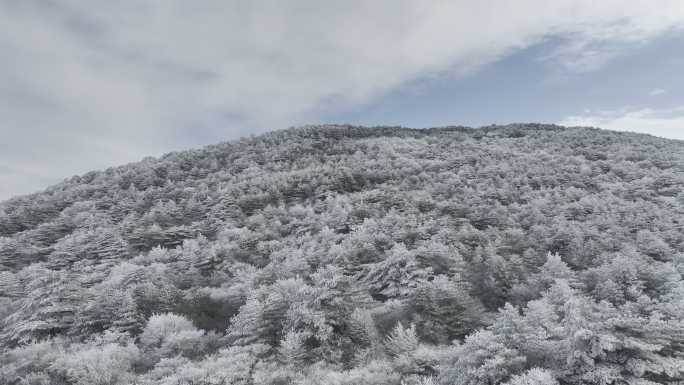 航拍雾凇满山雾凇 大雪封山