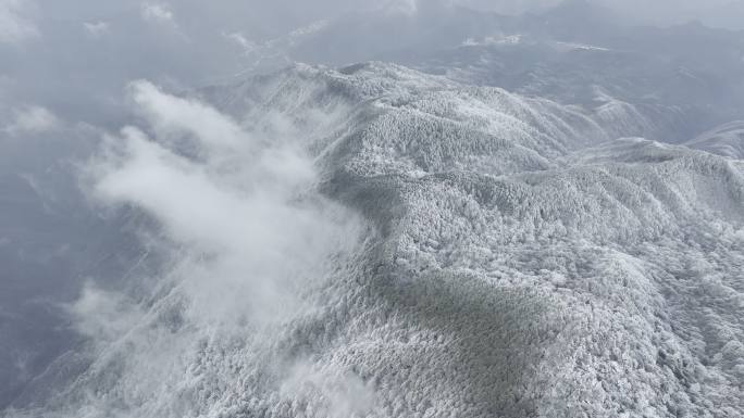 航拍雾凇满山雾凇 大雪封山