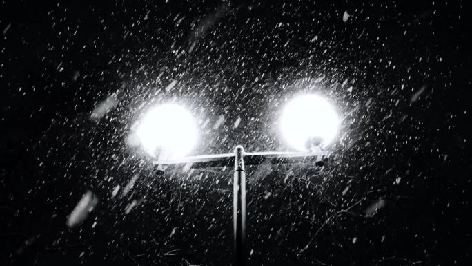 街灯照亮的冬夜，背景是飘落的雪和光秃秃的树枝