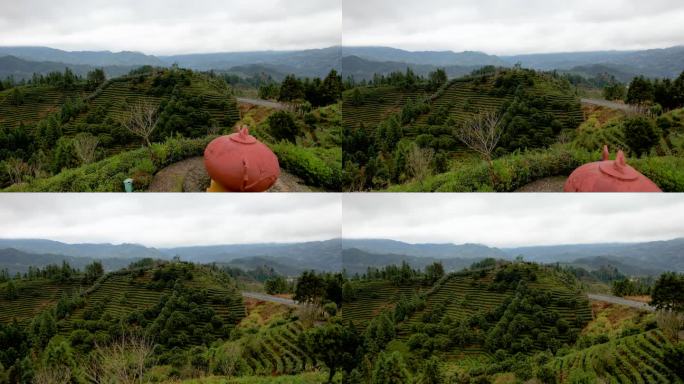 湖南郴州桂东茶园茶山三农冬季自然风光航拍