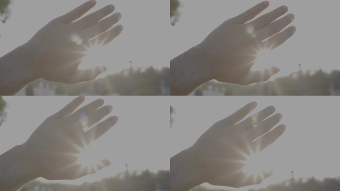 手握秋日夕阳下的阳光