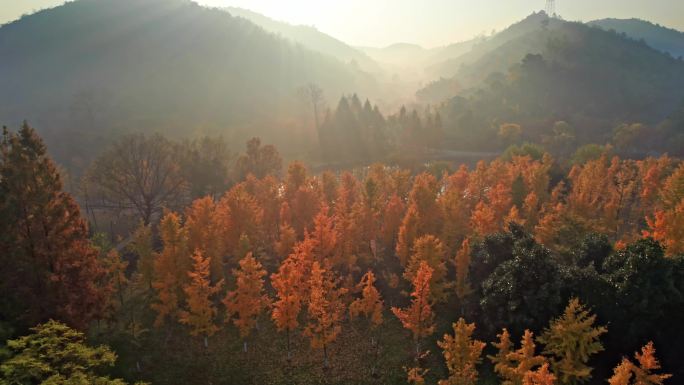 秋天山色日出美景