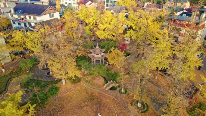 山村秋色 长兴八都芥景区