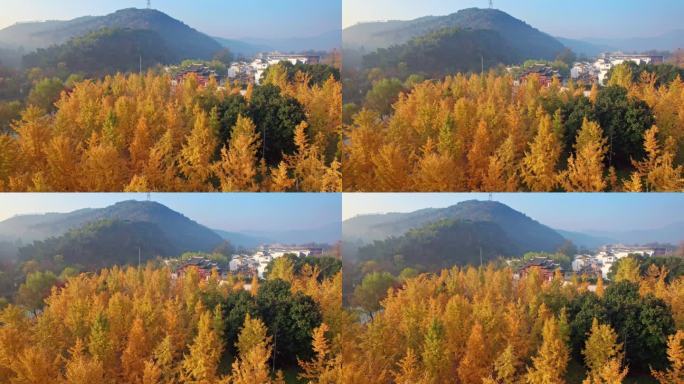 美丽山村  长兴八都芥景区