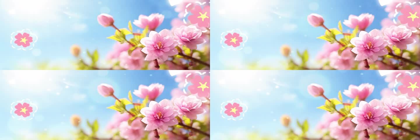 6K宽屏大屏唯美梦幻花朵粉色可爱背景
