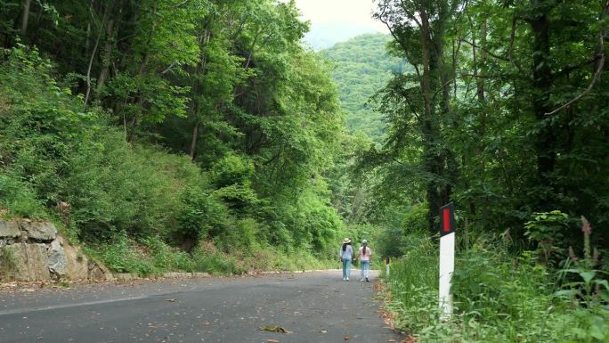 道路信号站。穿过森林的路。两个女孩漫步在阿尔卑斯山的徒步小径上。母女俩玩得很开心