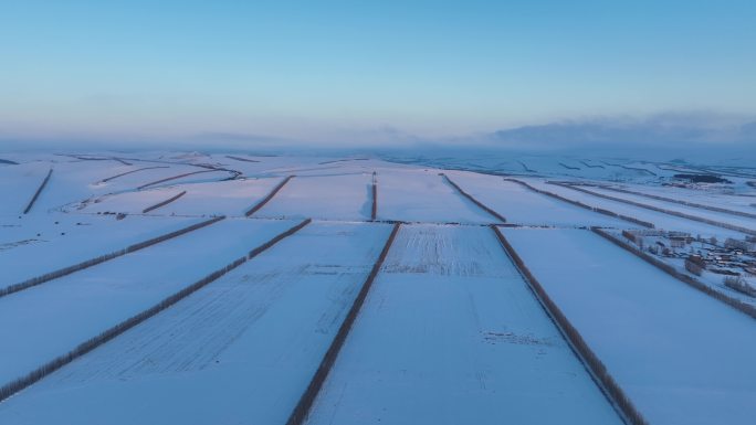 寒冬白雪覆盖的农田