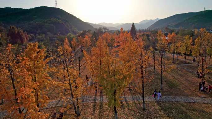 长兴八都芥景区