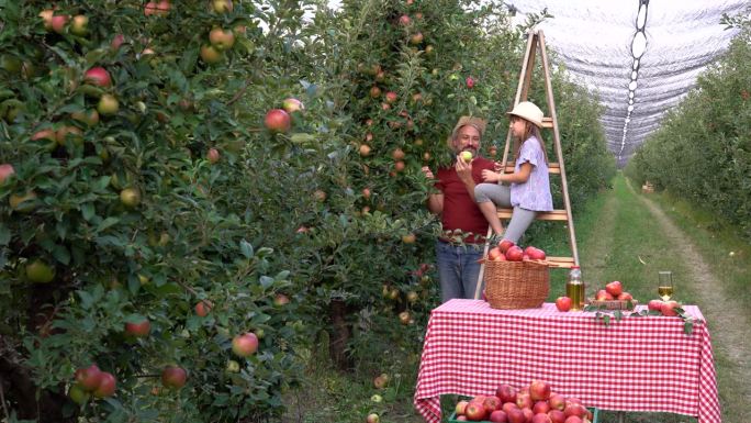 农夫和他的小女儿在摘苹果