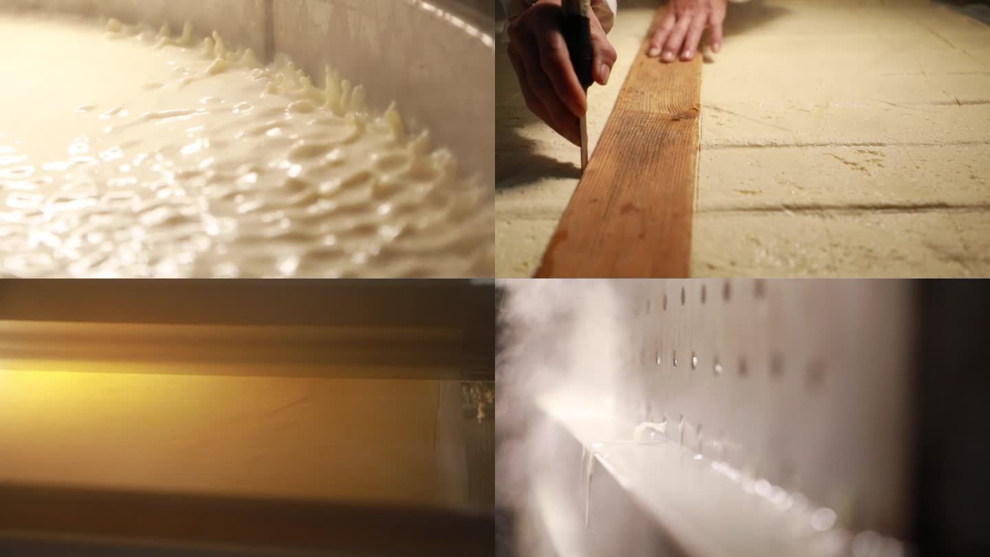 豆腐产品制作全程