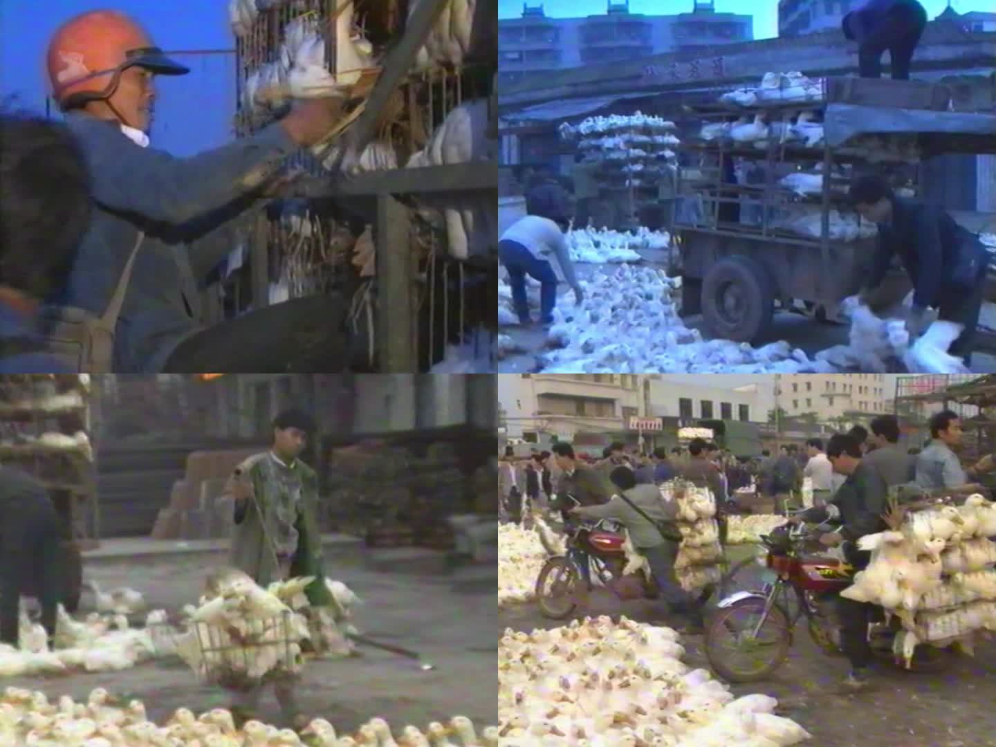 改革开放 8090年代 家禽农贸市场