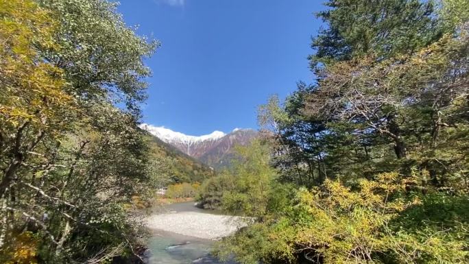 日本上歌地的山和森林