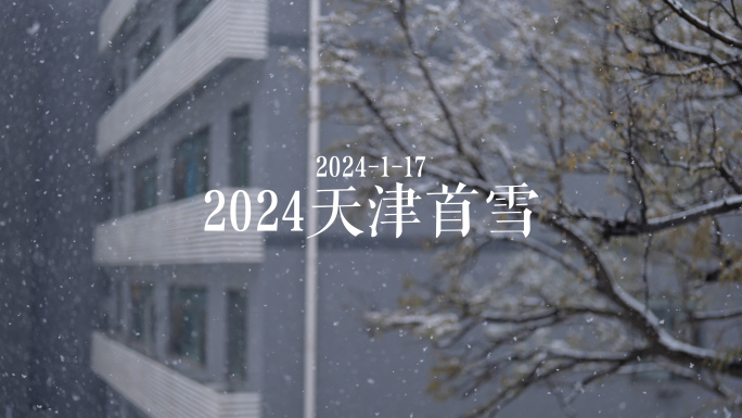 4K 大雪120帧慢动作2024天津首雪