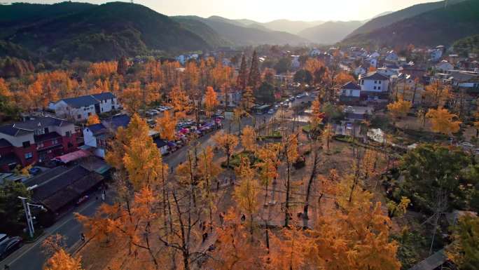 山村秋色 长兴八都芥景区