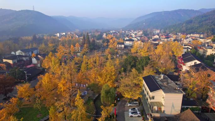 美丽山村  长兴八都芥景区