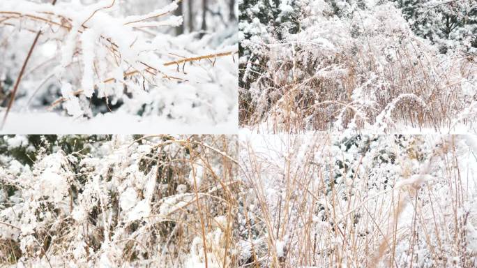 唯美冬季雪后美景