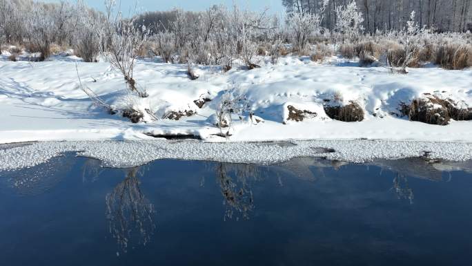 初冬大兴安岭湿地雪松树挂美景