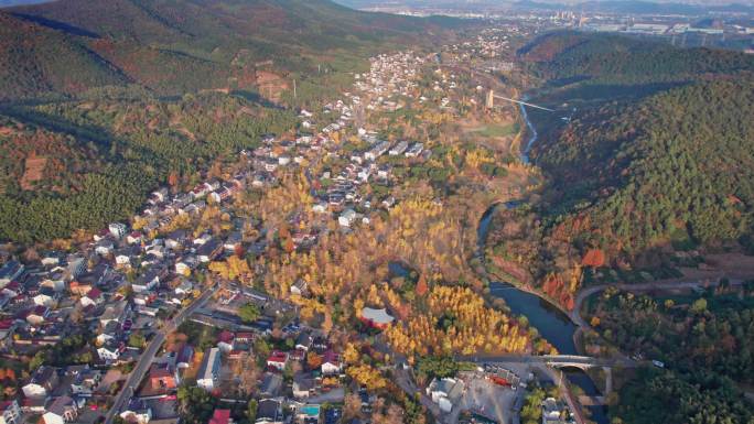 山村秋色 长兴八都芥景区