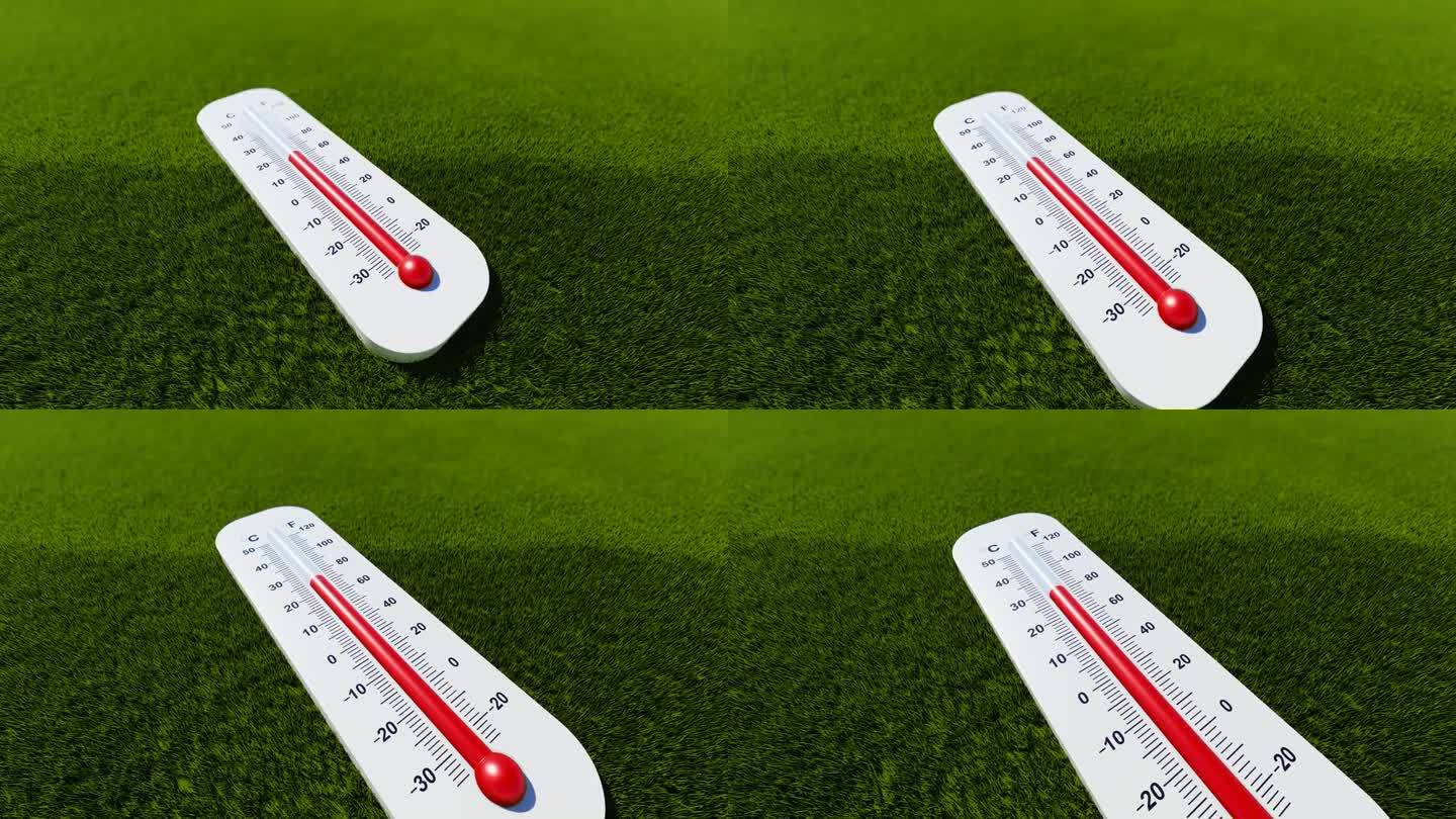夏季概念:草地温度计