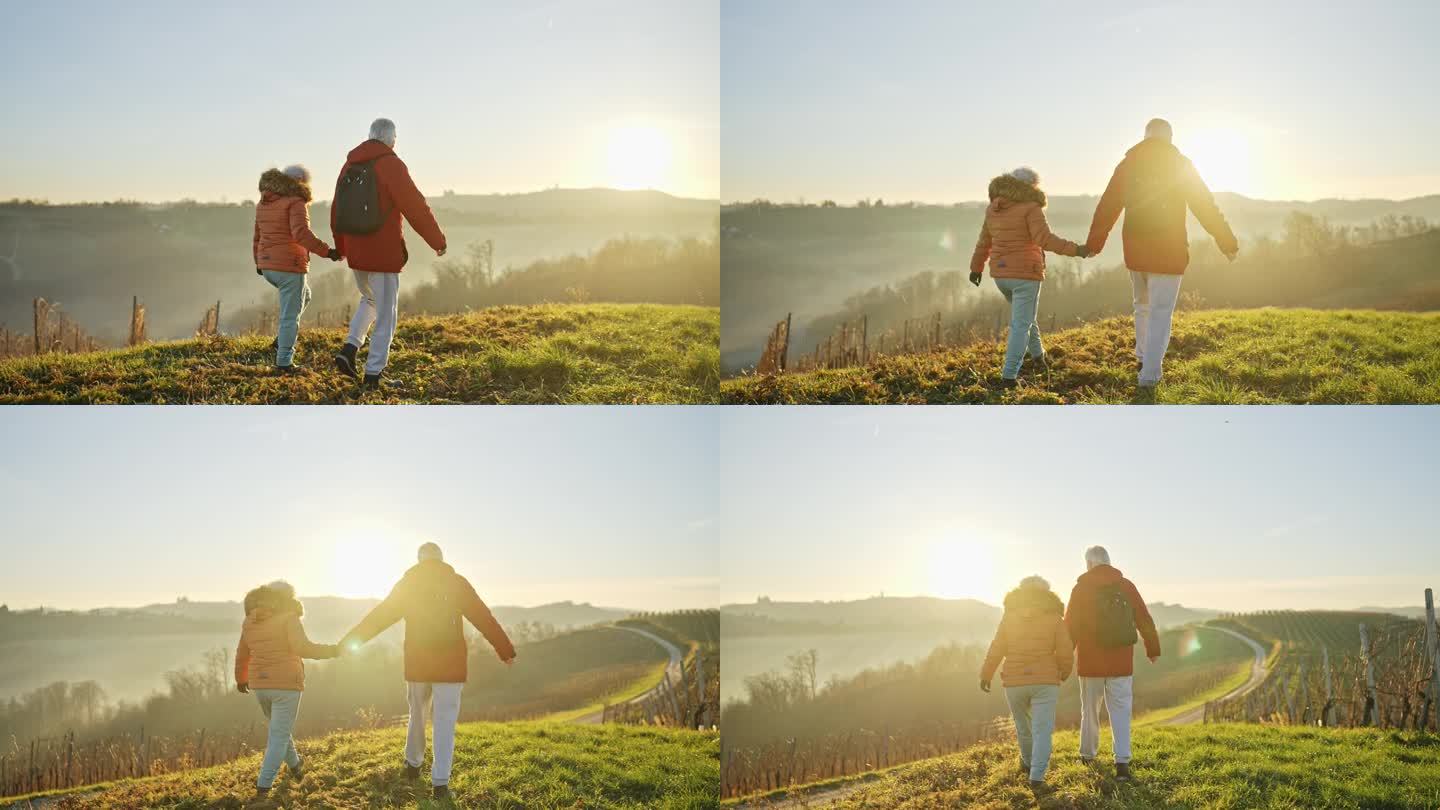 活跃的老年夫妇穿着暖和的衣服，手牵着手在日落的葡萄园徒步旅行