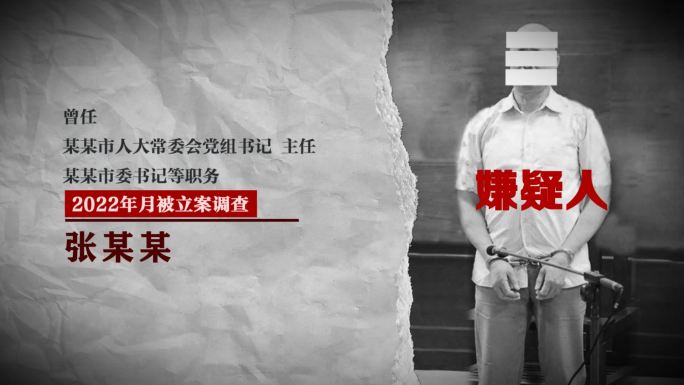 警示教育反腐纪委纪检监察嫌疑人介绍