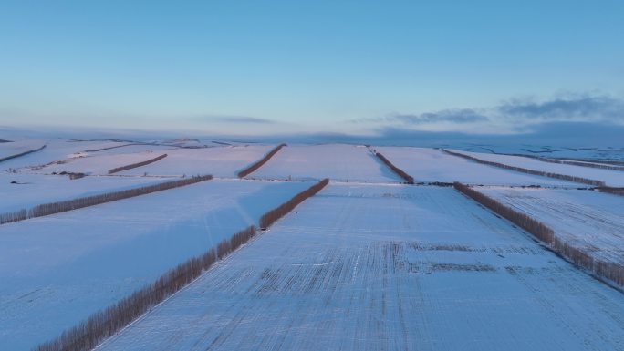 雪原寒冬白雪皑皑田野自然风景