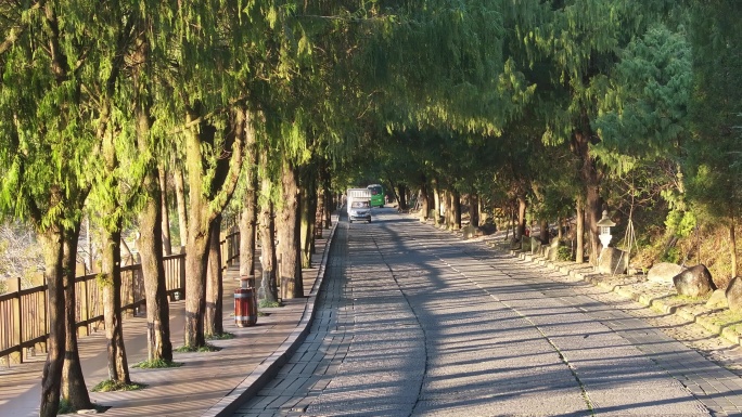 台州天台山国清寺最美道路