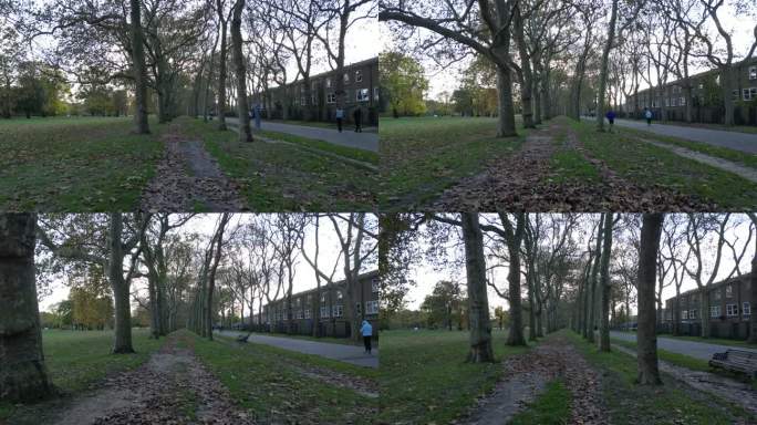 在英国维多利亚公园，无人机拍摄的树木之间的小路，人们在相邻的小路上行走