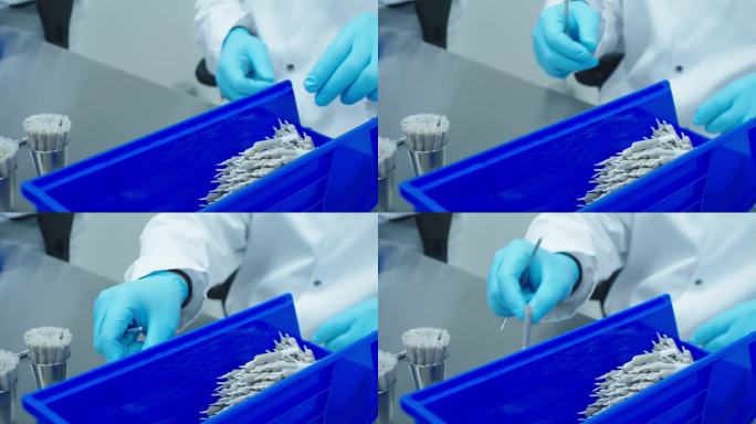 穿着实验室工作服和蓝色医用手套的实验室技术人员正在捣鼓和扭转大麻卷。特写镜头。慢动作